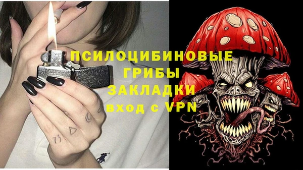 дживик Белокуриха