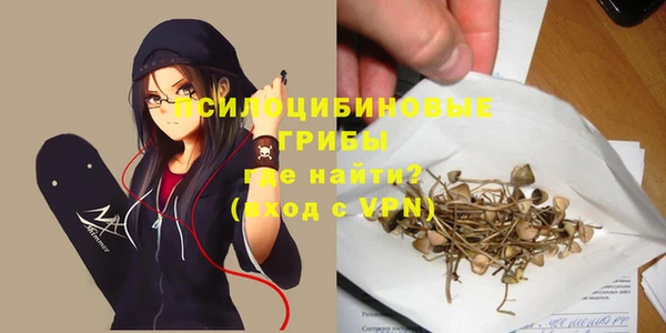 a pvp Беломорск