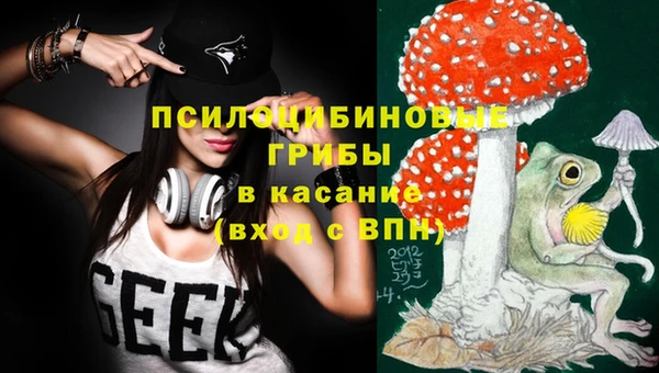 дживик Белокуриха