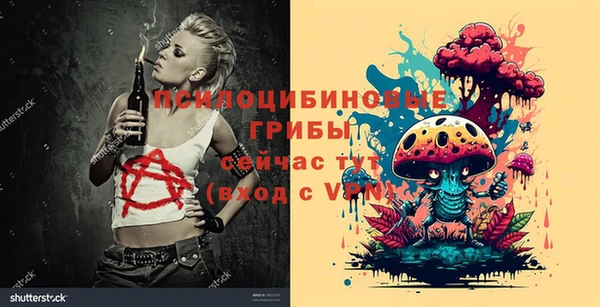 дживик Белокуриха