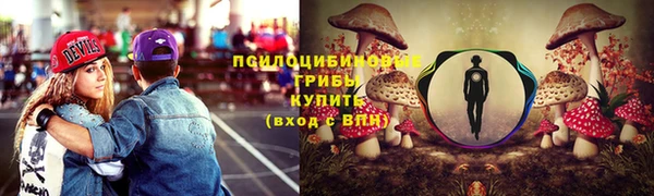 дживик Белокуриха