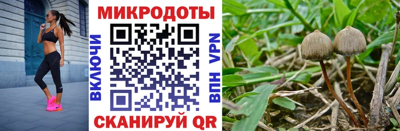даркнет сайт  гидра как зайти  Псилоцибиновые грибы Cubensis  Горячий Ключ 